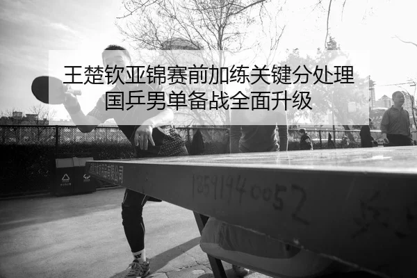 王楚钦亚锦赛前加练关键分处理 国乒男单备战全面升级