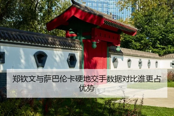 郑钦文与萨巴伦卡硬地交手数据对比谁更占优势